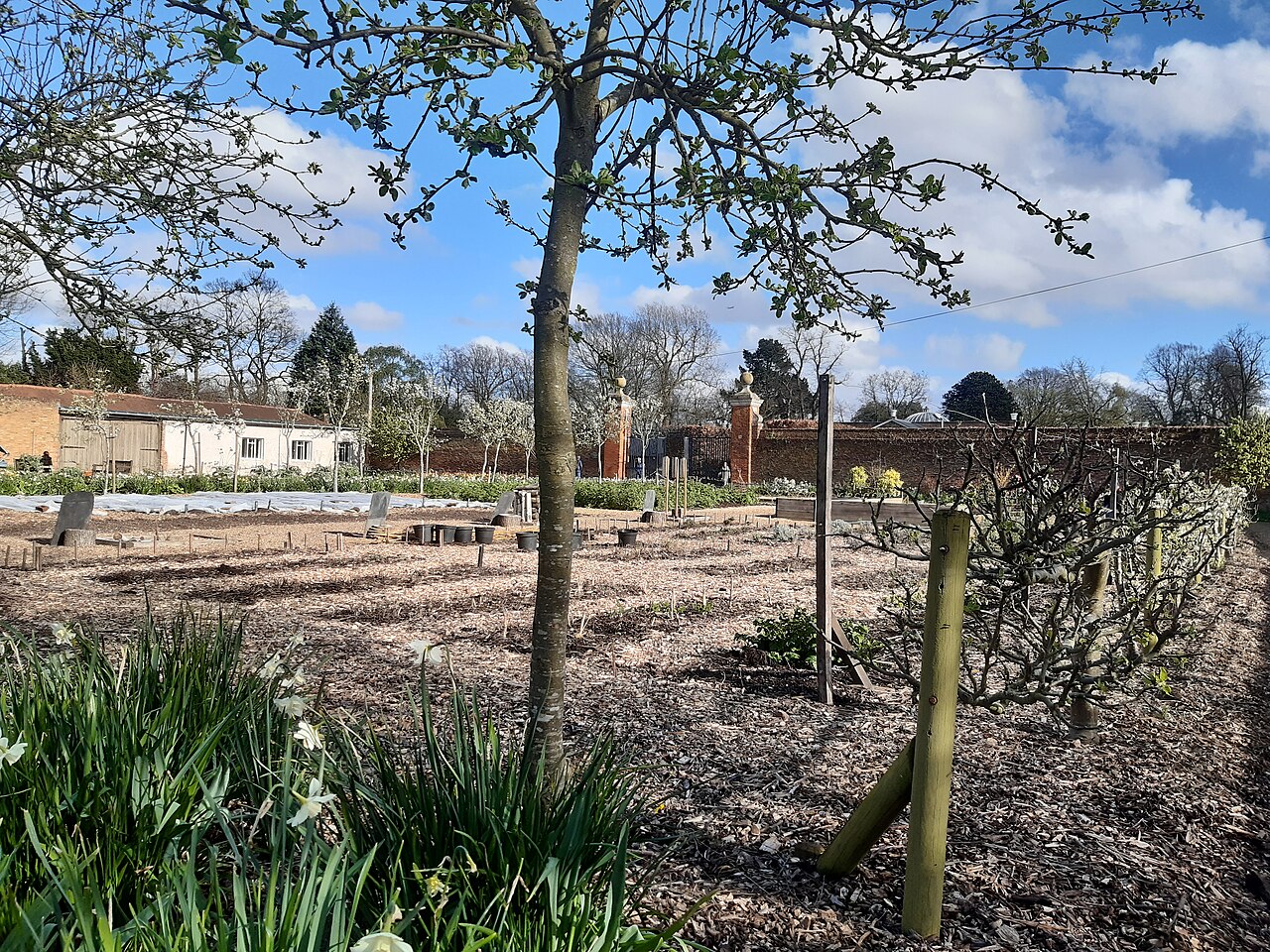 Chiswick House Kitchen Garden - vegetable beds